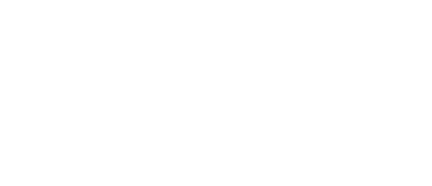 All white MDI NetworX logo without company tagline.